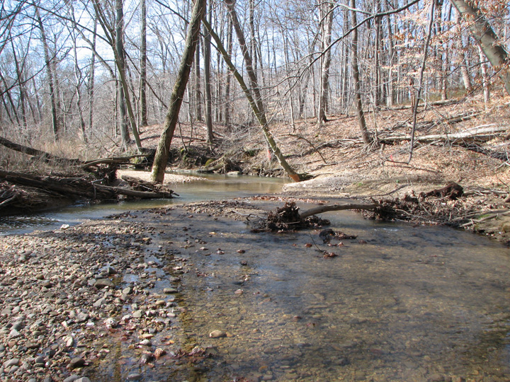Field photo showing stream conditions at site SWAN-251-T-2007-1