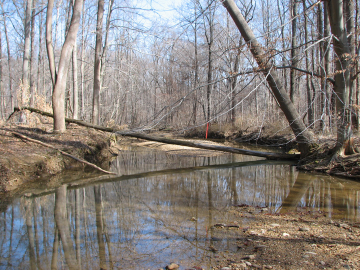 Field photo showing stream conditions at site SWAN-251-T-2007-2