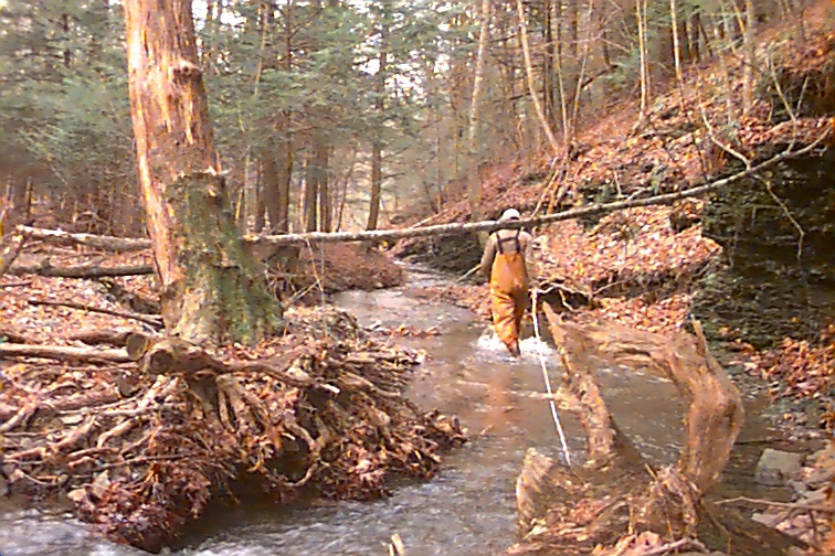 Field photo showing stream conditions at site TOWN-102-R-2000-01