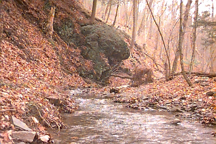 Field photo showing stream conditions at site TOWN-102-R-2000-02