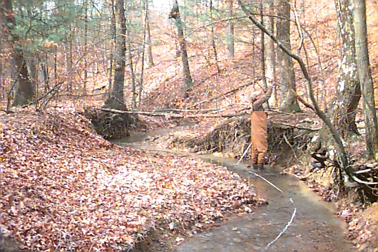 Field photo showing stream conditions at site TOWN-104-R-2000-01