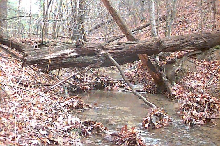 Field photo showing stream conditions at site TOWN-104-R-2000-02