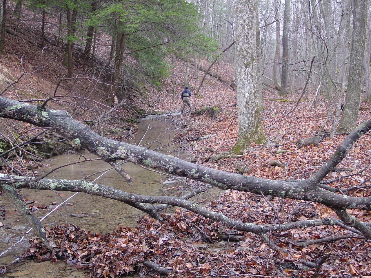 Field photo showing stream conditions at site TOWN-104-R-2002-1