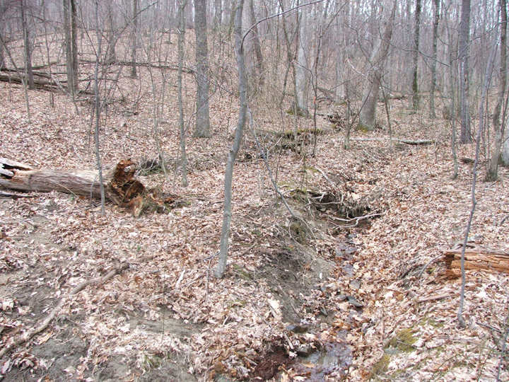Field photo showing stream conditions at site TOWN-104-R-2008-1