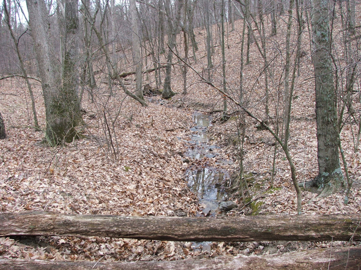Field photo showing stream conditions at site TOWN-104-R-2008-2
