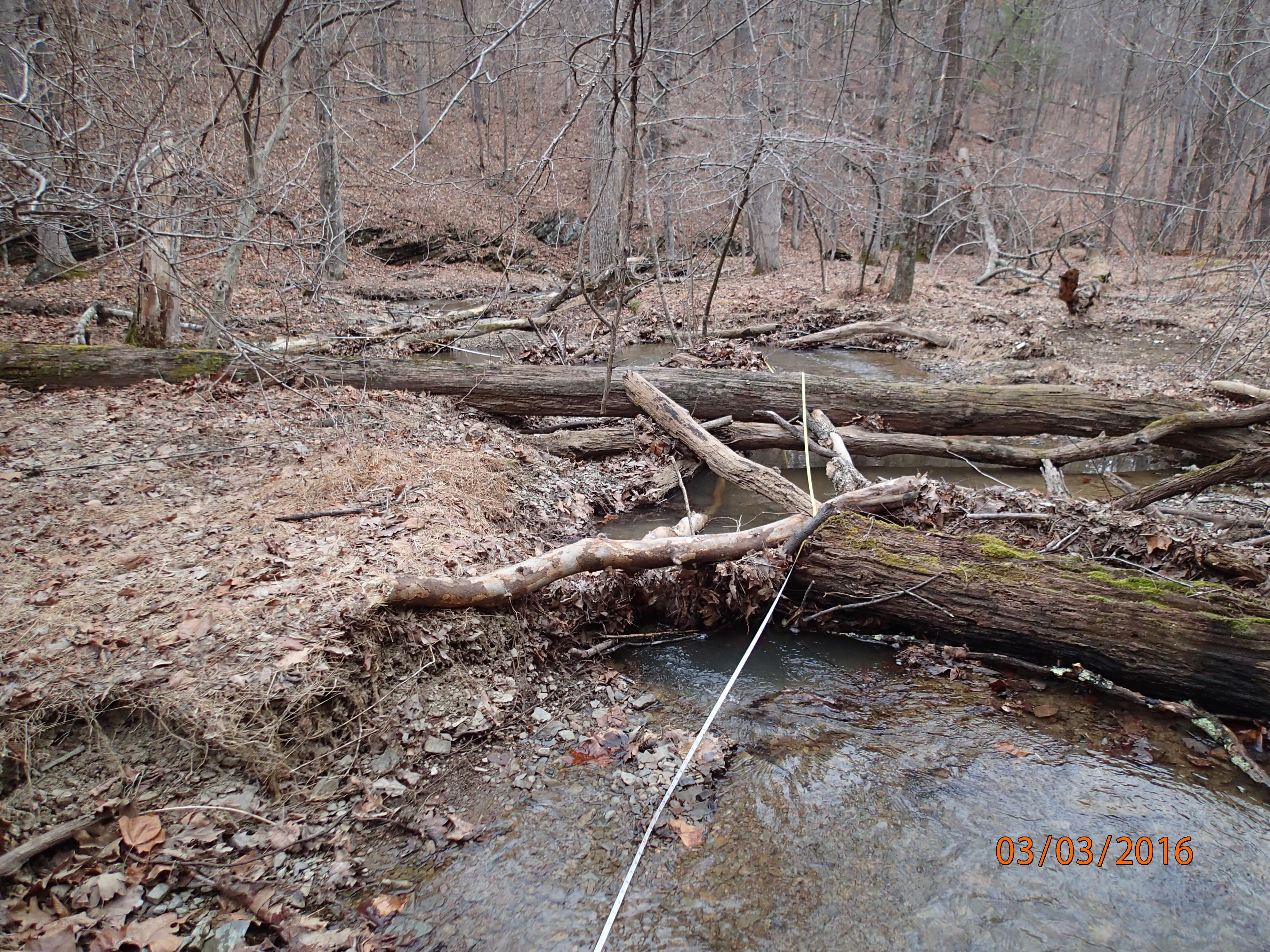 Field photo showing stream conditions at site TOWN-104-R-2016-MidpointDownstream