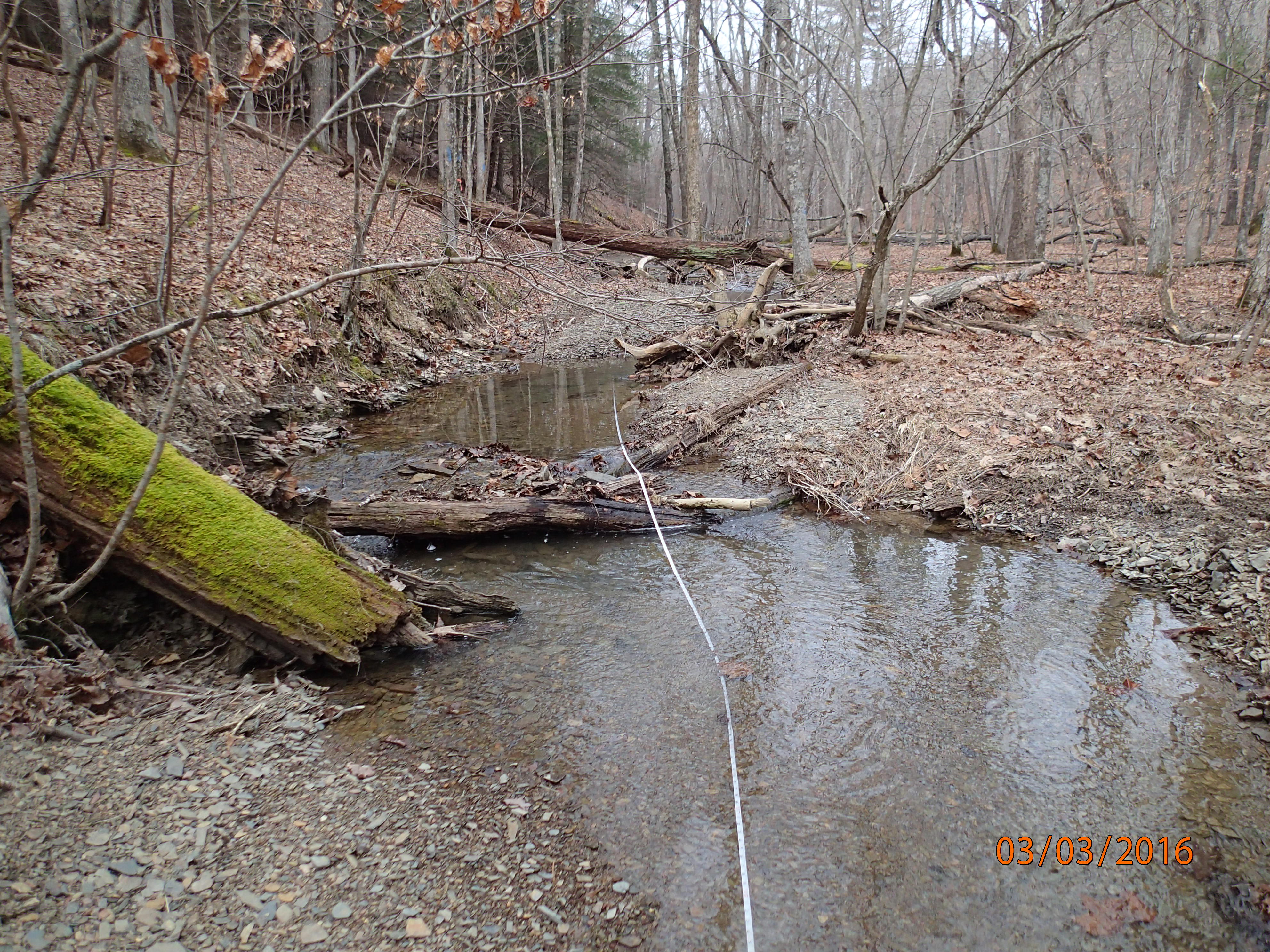 Field photo showing stream conditions at site TOWN-104-R-2016-MidpointUpstream