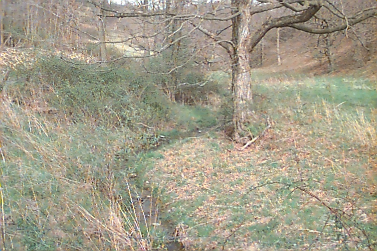 Field photo showing stream conditions at site TOWN-105-R-2000-01