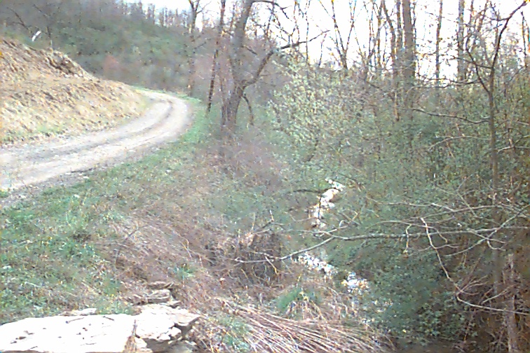 Field photo showing stream conditions at site TOWN-105-R-2000-02