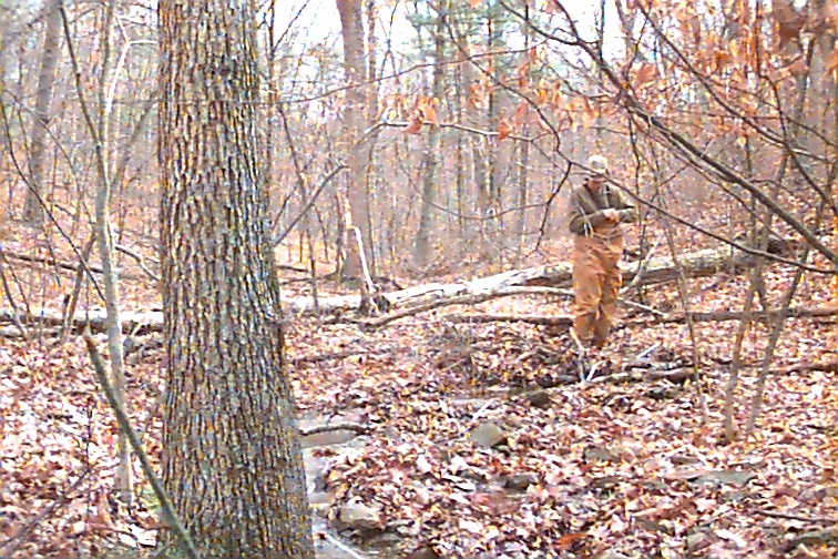 Field photo showing stream conditions at site TOWN-106-R-2000-01