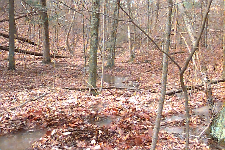 Field photo showing stream conditions at site TOWN-106-R-2000-02