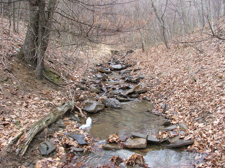 Field photo showing stream conditions at site TOWN-106-R-2008-1