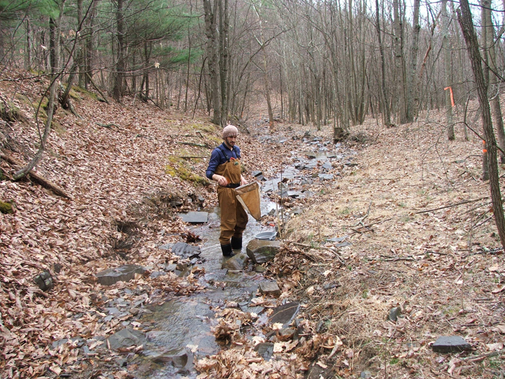 Field photo showing stream conditions at site TOWN-106-R-2008-2