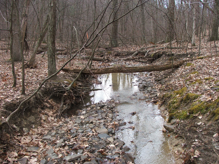 Field photo showing stream conditions at site TOWN-107-R-2008-2
