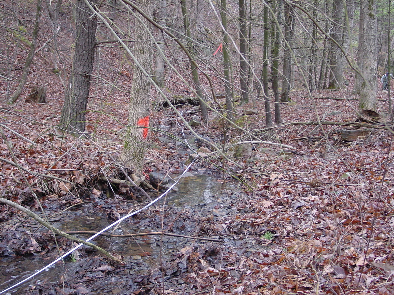 Field photo showing stream conditions at site TOWN-108-R-2002-1