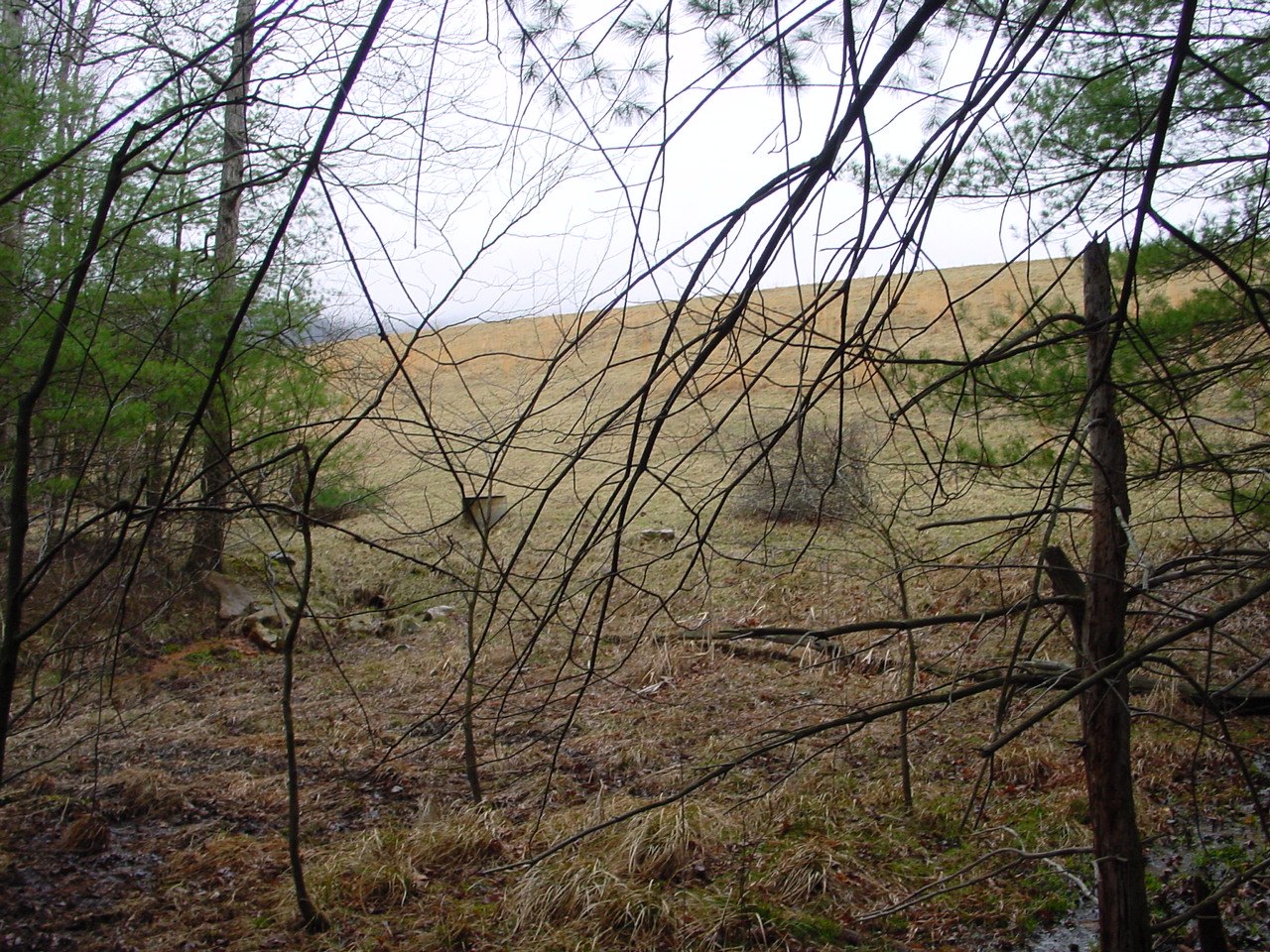 Field photo showing stream conditions at site TOWN-108-R-2002-2