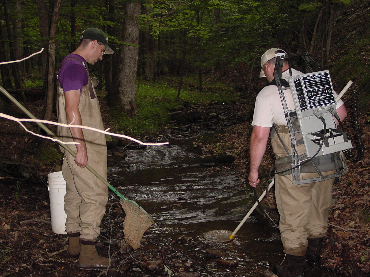 Field photo showing stream conditions at site TOWN-108-R-2002-3
