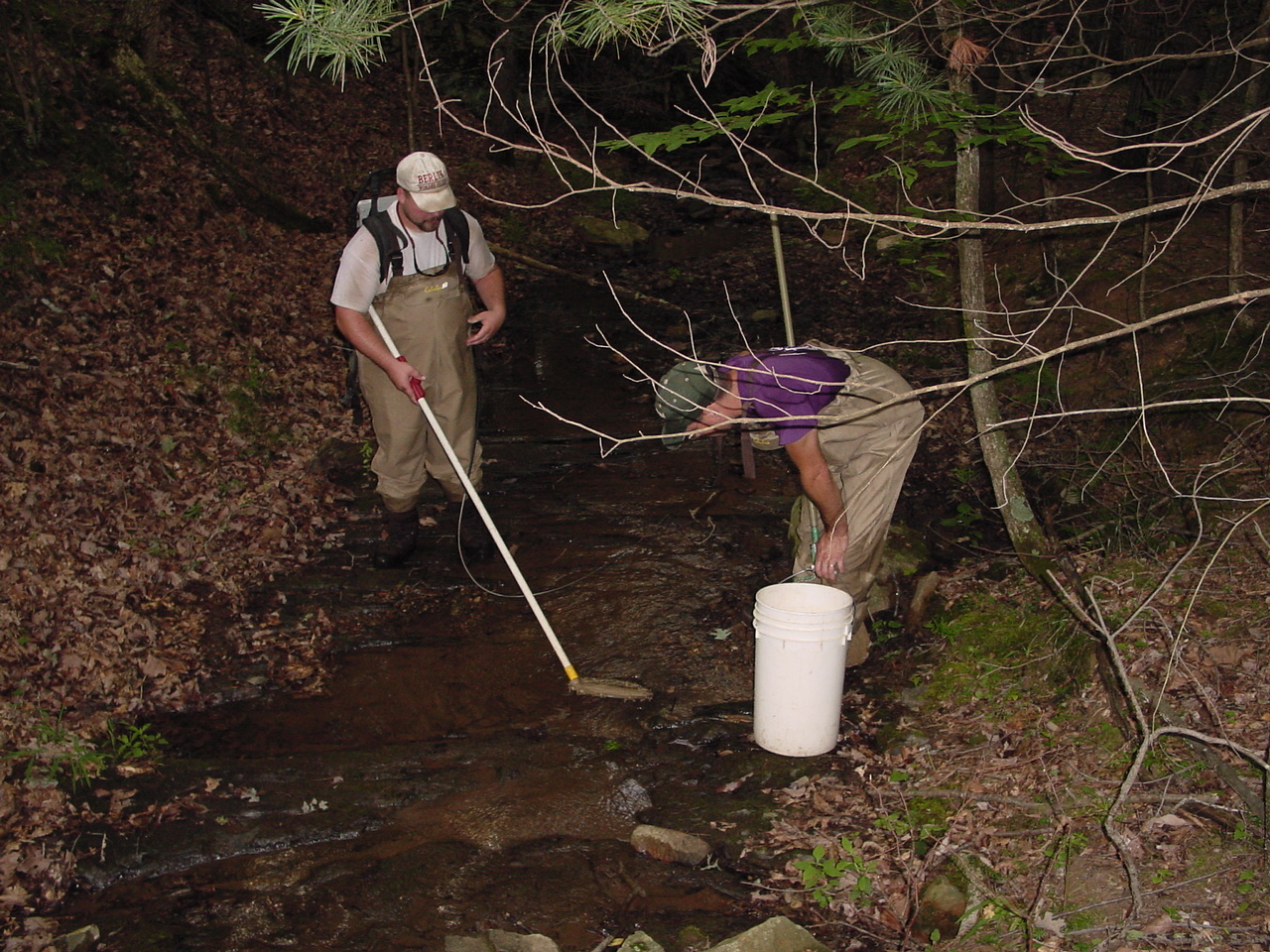 Field photo showing stream conditions at site TOWN-108-R-2002-4