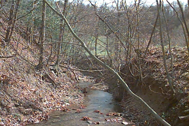 Field photo showing stream conditions at site TOWN-110-R-2000-01