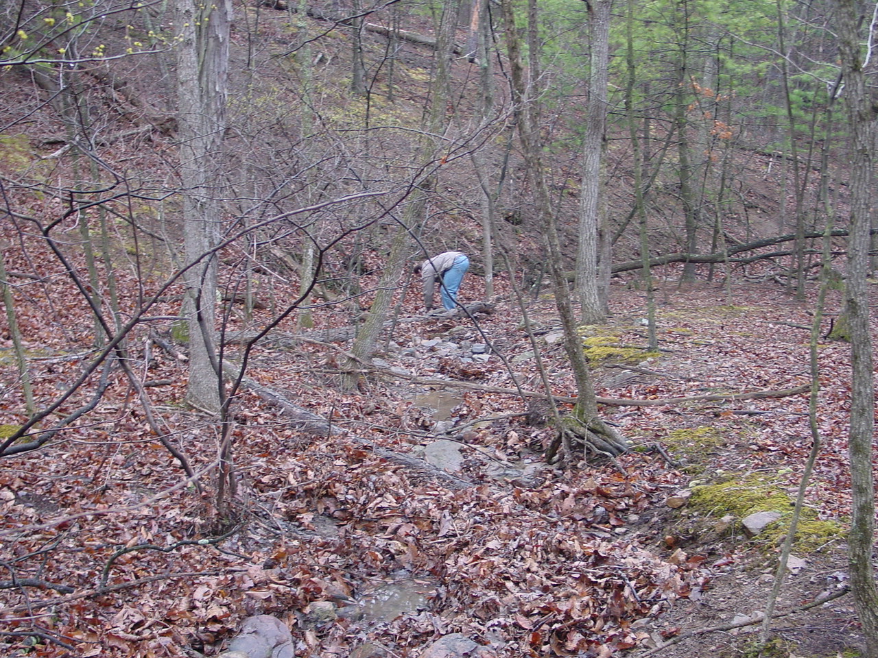 Field photo showing stream conditions at site TOWN-110-R-2002-1