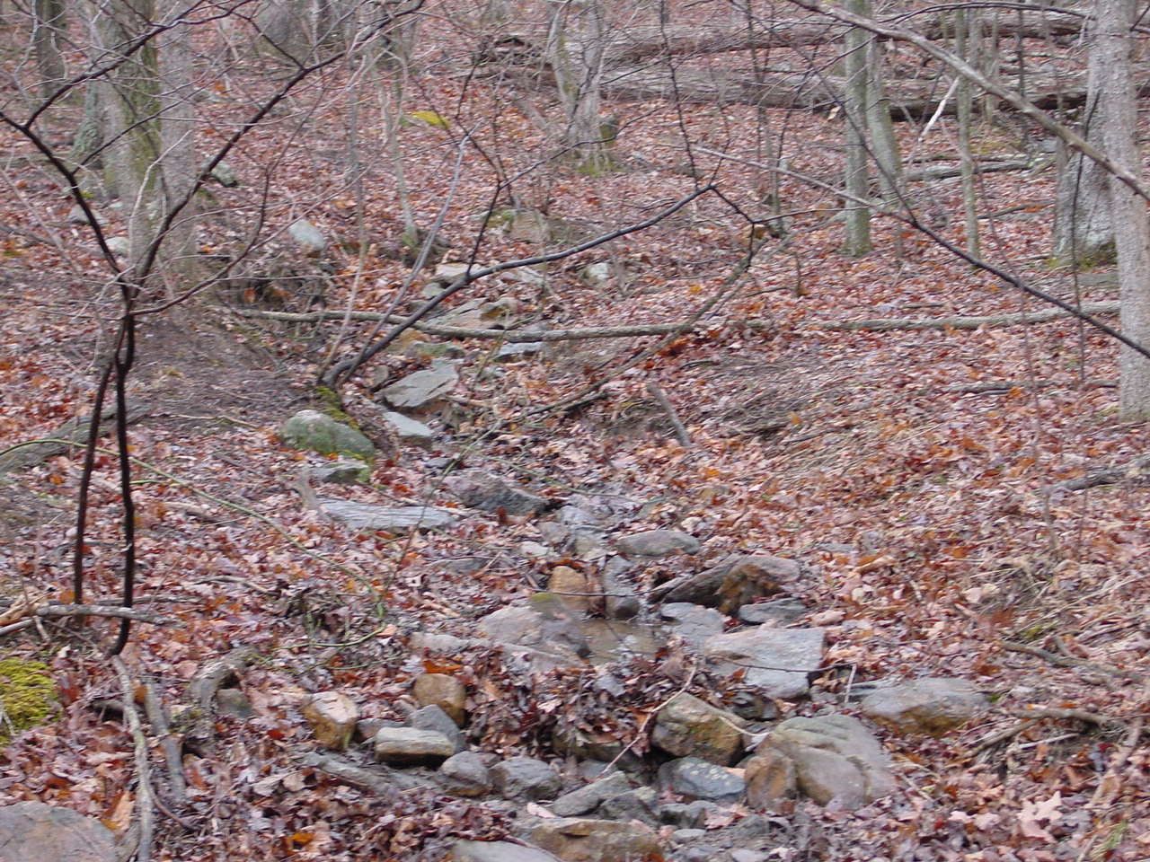 Field photo showing stream conditions at site TOWN-110-R-2002-2