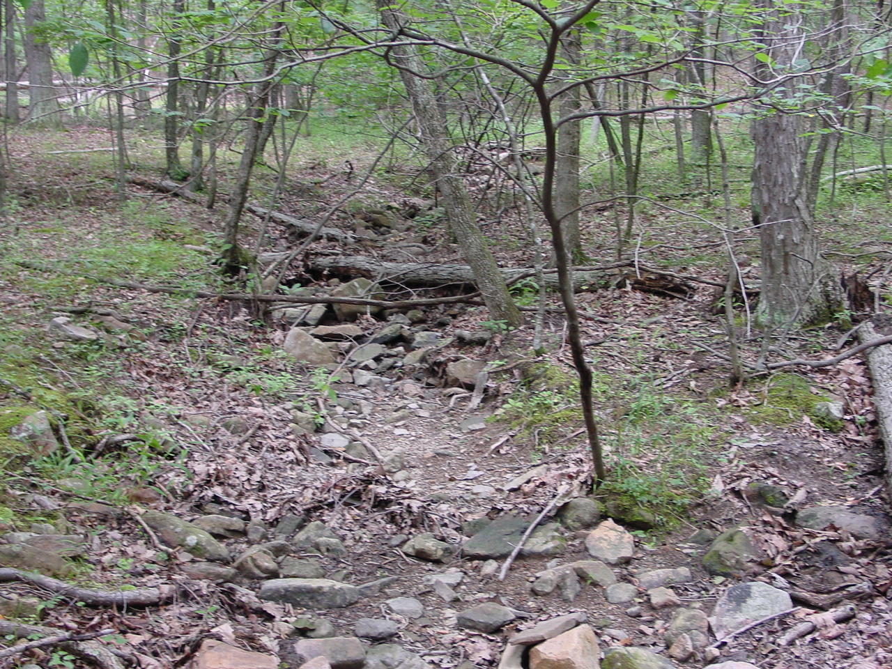 Field photo showing stream conditions at site TOWN-110-R-2002-3