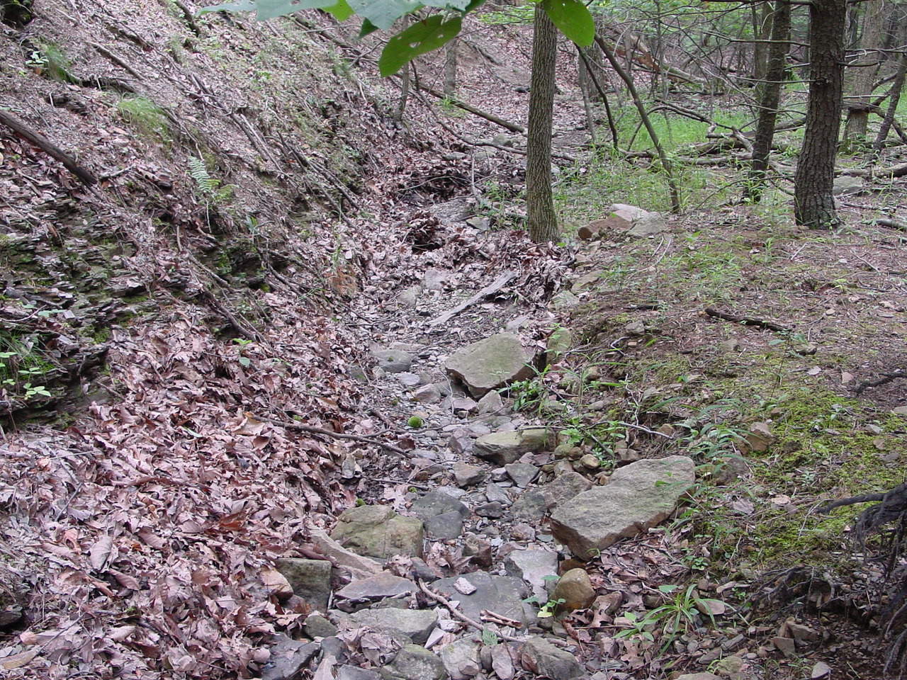 Field photo showing stream conditions at site TOWN-110-R-2002-4