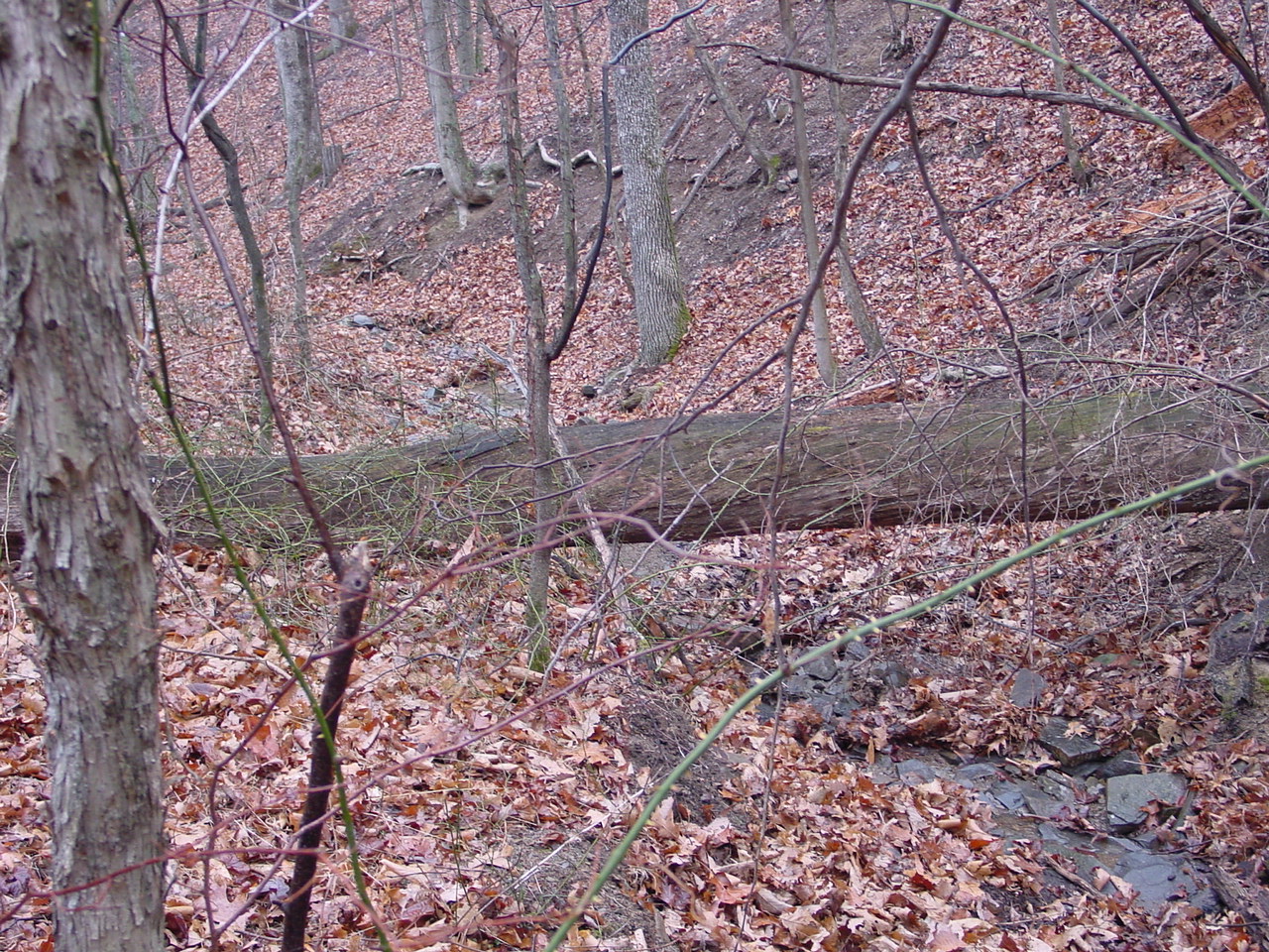 Field photo showing stream conditions at site TOWN-111-R-2002-1