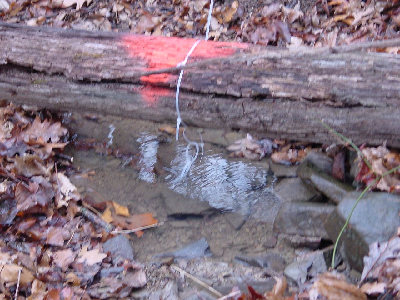 Field photo showing stream conditions at site TOWN-111-R-2002-2