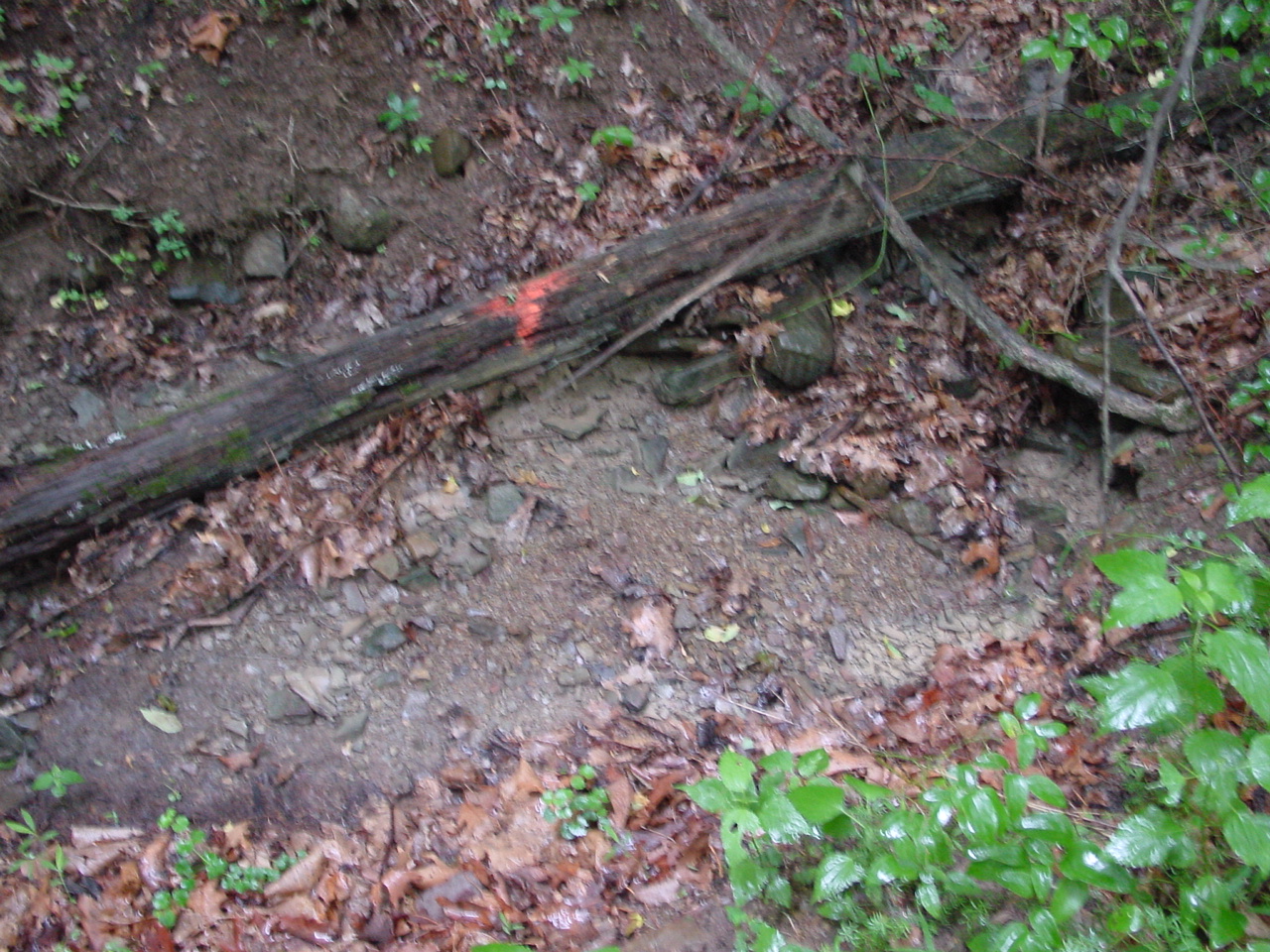 Field photo showing stream conditions at site TOWN-111-R-2002-3