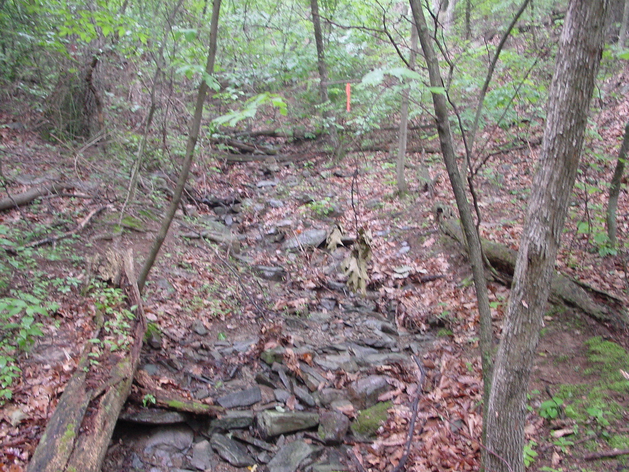 Field photo showing stream conditions at site TOWN-111-R-2002-4