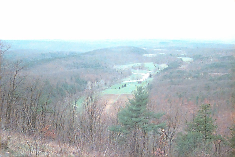 Field photo showing stream conditions at site TOWN-113-R-2000-01