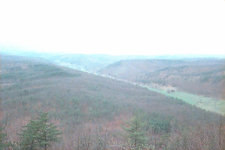 Field photo showing stream conditions at site TOWN-113-R-2000-02