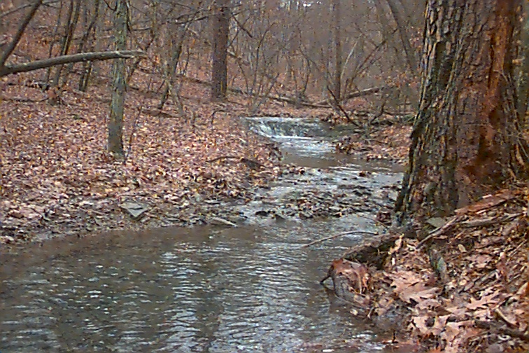 Field photo showing stream conditions at site TOWN-113-R-2000-04