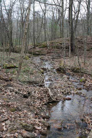 Field photo showing stream conditions at site TOWN-192-A-2012-25mdownstream