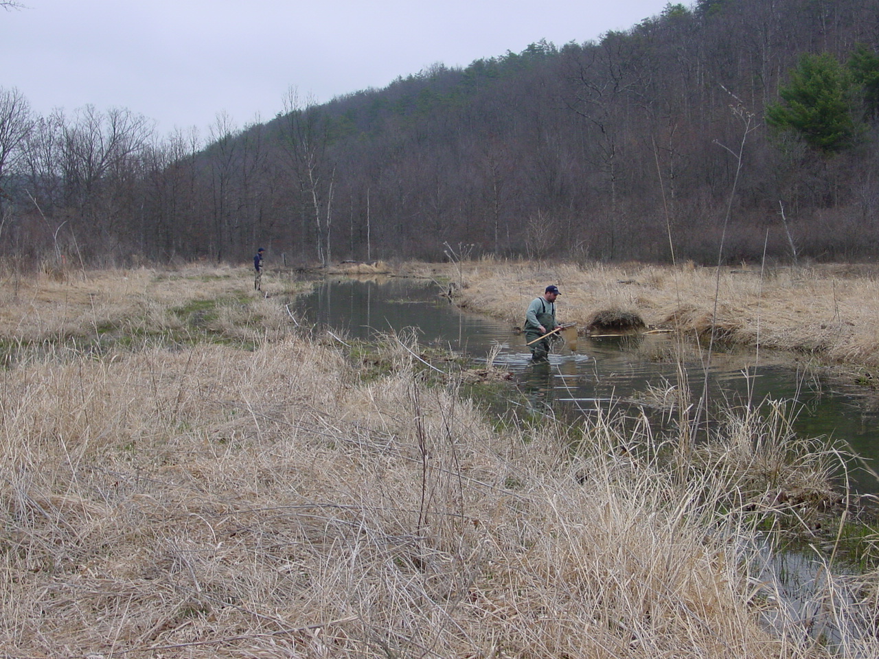Field photo showing stream conditions at site TOWN-201-R-2002-1