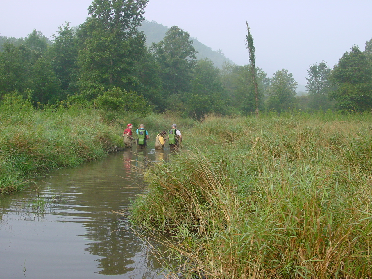 Field photo showing stream conditions at site TOWN-201-R-2002-3
