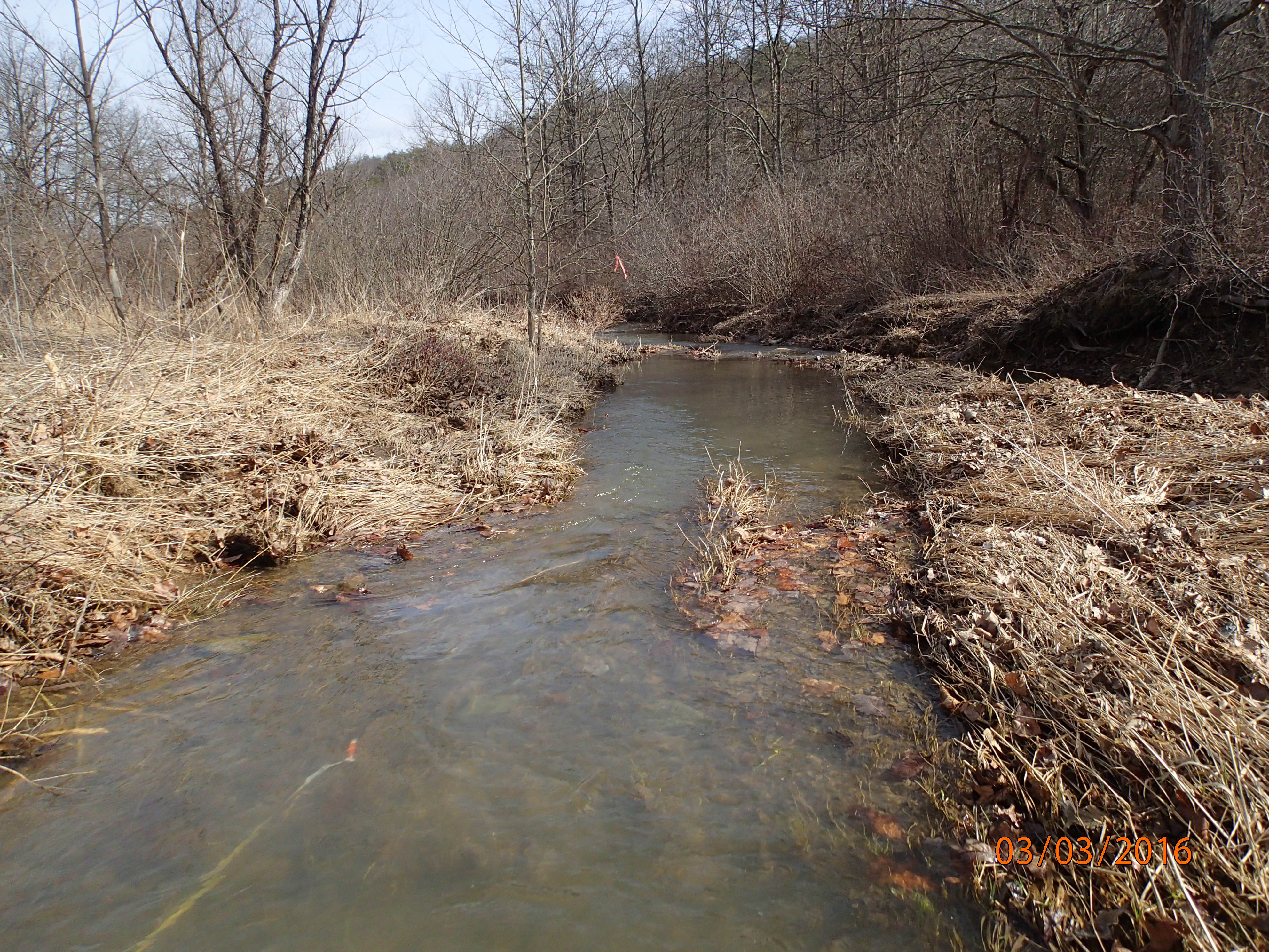 Field photo showing stream conditions at site TOWN-201-R-2016-MidpointDownstream