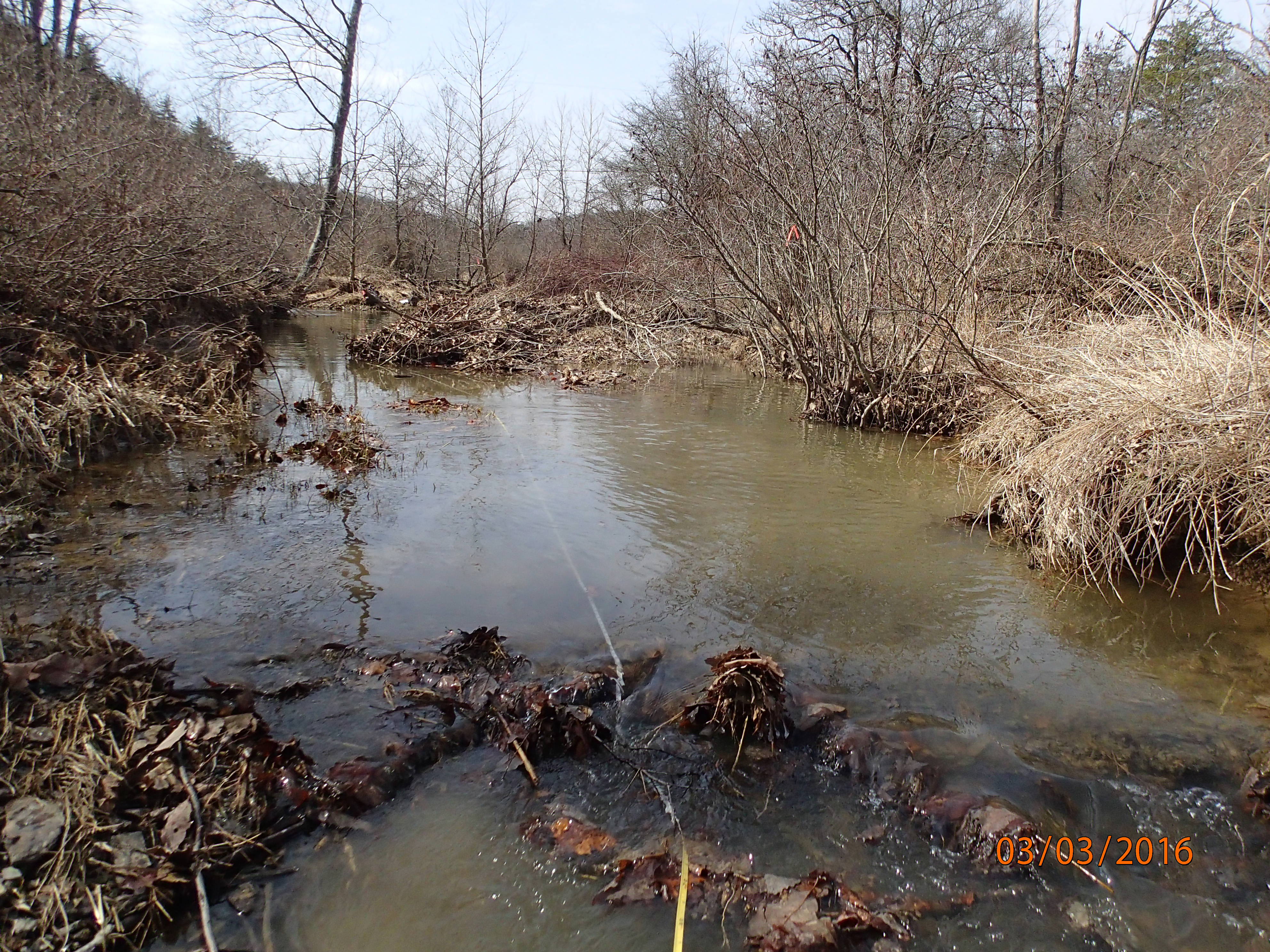 Field photo showing stream conditions at site TOWN-201-R-2016-MidpointUpstream