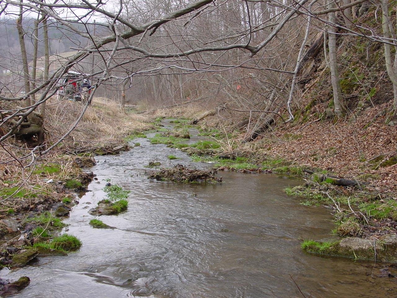 Field photo showing stream conditions at site TOWN-205-R-2002-1