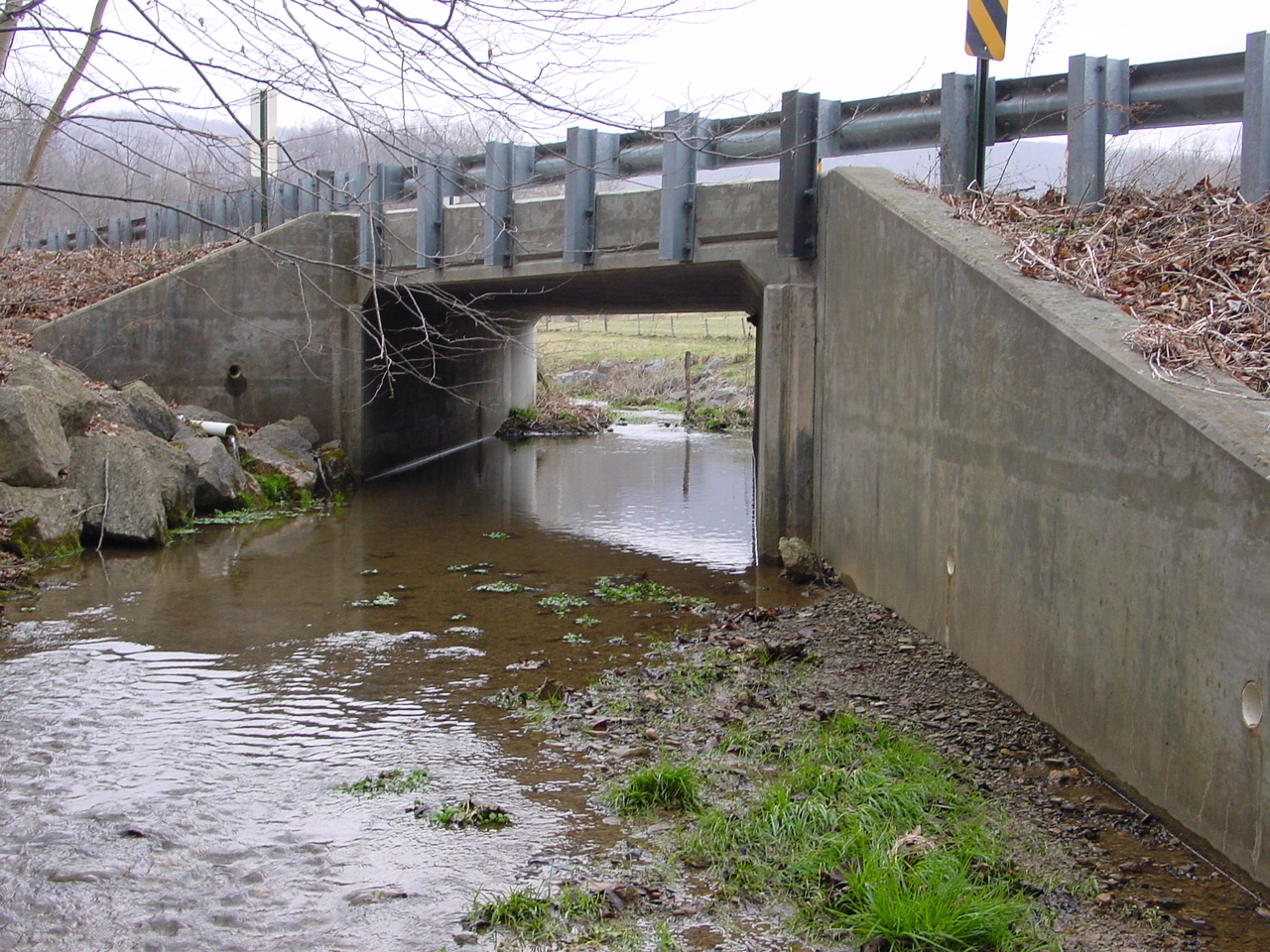 Field photo showing stream conditions at site TOWN-205-R-2002-2