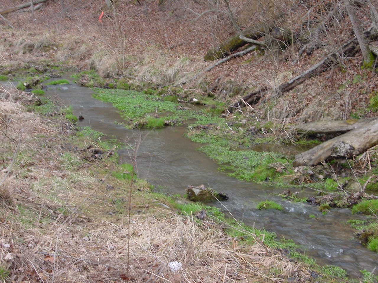 Field photo showing stream conditions at site TOWN-205-R-2002-3