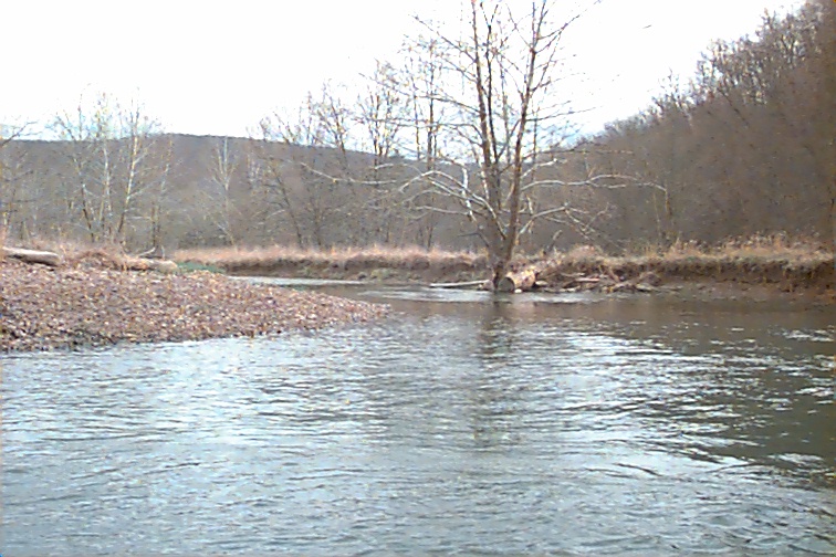 Field photo showing stream conditions at site TOWN-408-R-2000-01