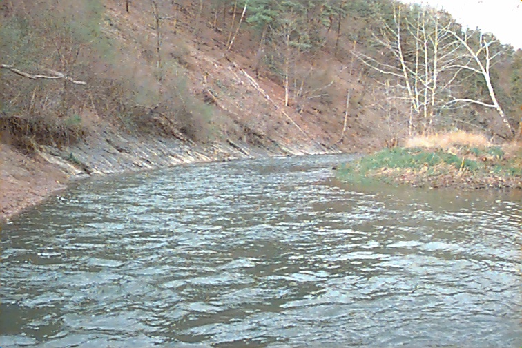 Field photo showing stream conditions at site TOWN-408-R-2000-02