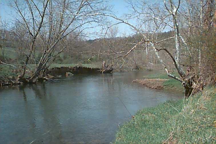 Field photo showing stream conditions at site TOWN-409-R-2000-01