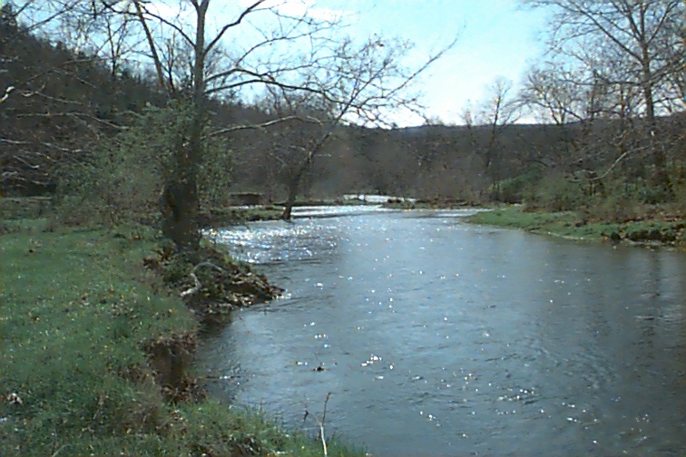 Field photo showing stream conditions at site TOWN-409-R-2000-02