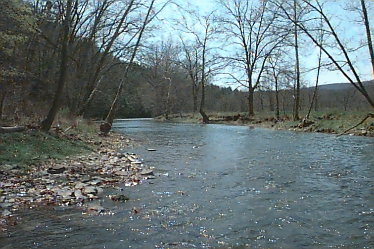 Field photo showing stream conditions at site TOWN-412-R-2000-02