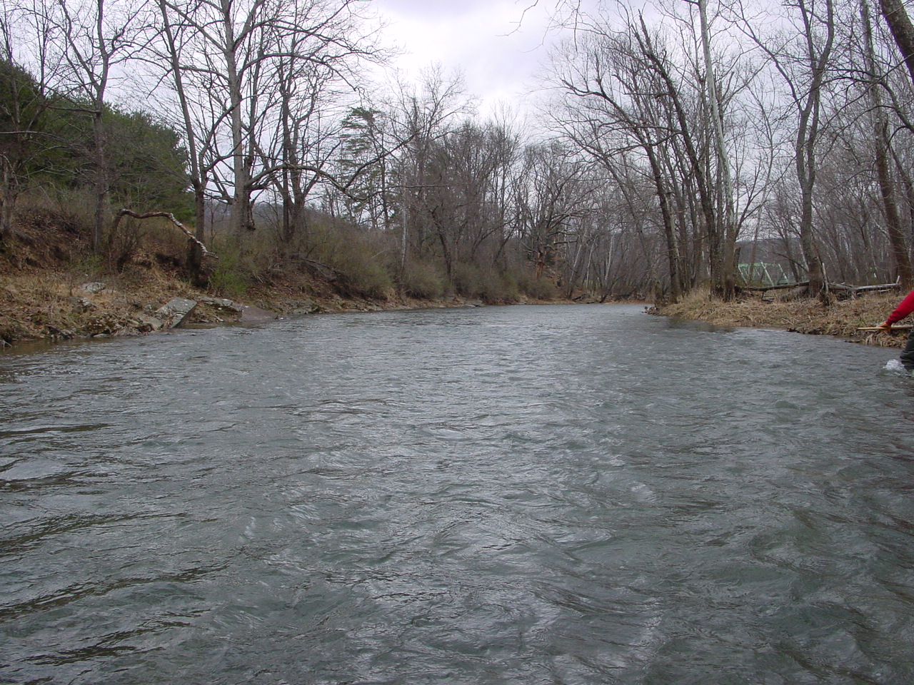 Field photo showing stream conditions at site TOWN-417-R-2002-1