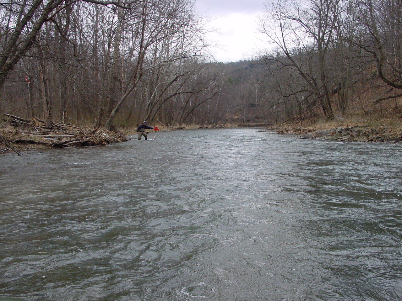 Field photo showing stream conditions at site TOWN-417-R-2002-2
