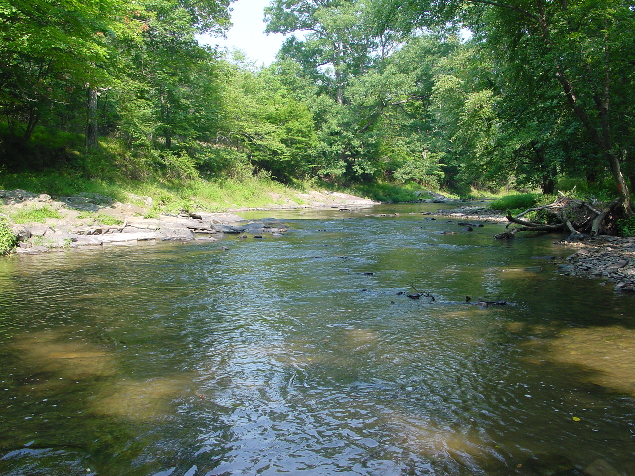 Field photo showing stream conditions at site TOWN-417-R-2002-3